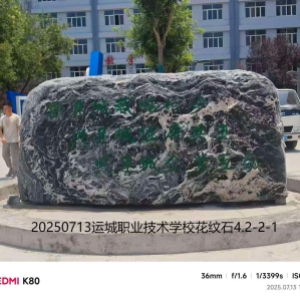 运城职业技术学校花纹石4.2-2-1