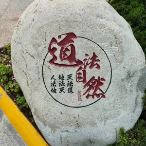 道法自然