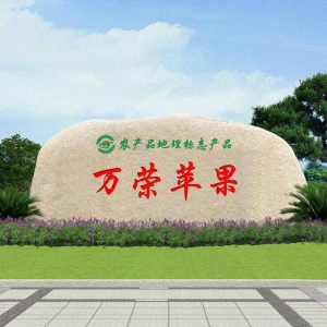 万荣苹果