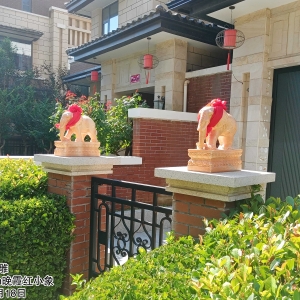晚霞红小象