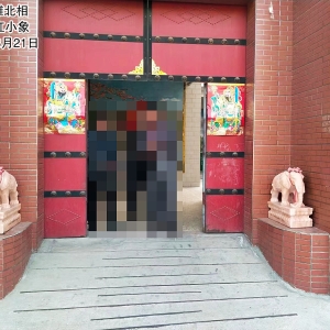 晚霞红小象
