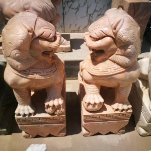 晚霞红对脸狮 野子 80公分